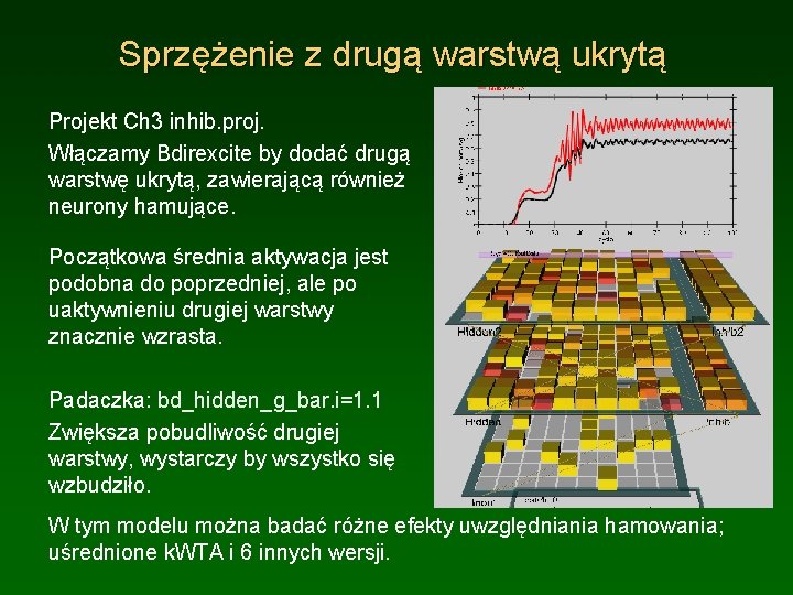 Sprzężenie z drugą warstwą ukrytą Projekt Ch 3 inhib. proj. Włączamy Bdirexcite by dodać