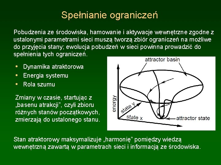Spełnianie ograniczeń Pobudzenia ze środowiska, hamowanie i aktywacje wewnętrzne zgodne z ustalonymi parametrami sieci