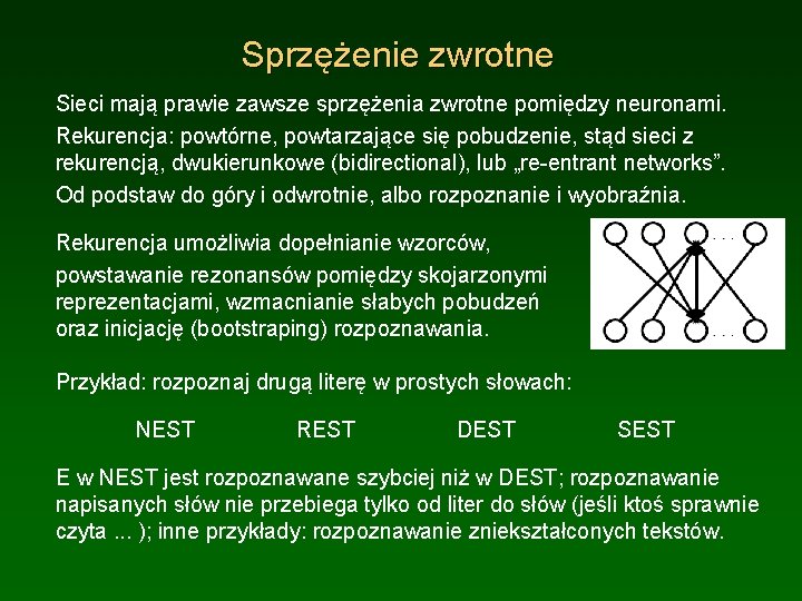 Sprzężenie zwrotne Sieci mają prawie zawsze sprzężenia zwrotne pomiędzy neuronami. Rekurencja: powtórne, powtarzające się