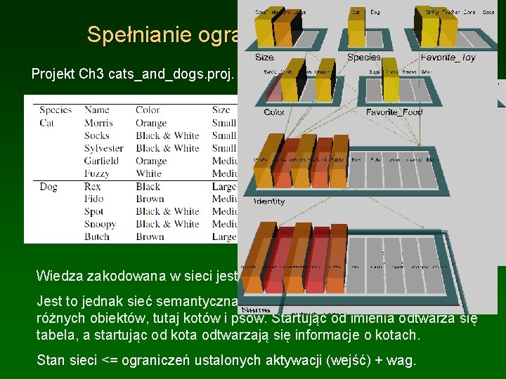 Spełnianie ograniczeń: koty i psy Projekt Ch 3 cats_and_dogs. proj. Wiedza zakodowana w sieci