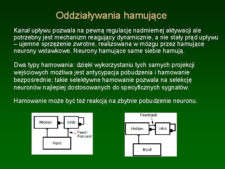 Oddziaływania hamujące Kanał upływu pozwala na pewną regulację nadmiernej aktywacji ale potrzebny jest mechanizm