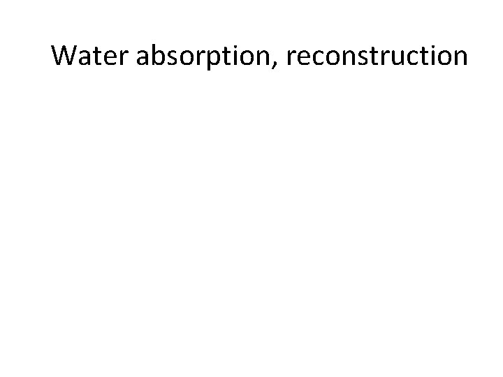 Water absorption, reconstruction 