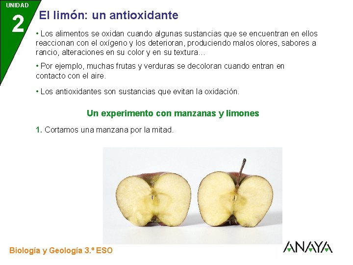 UNIDAD 2 3 El limón: un antioxidante • Los alimentos se oxidan cuando algunas
