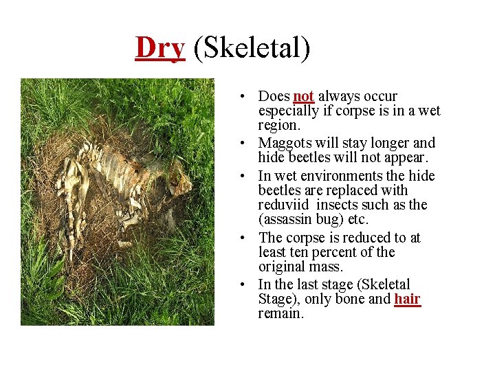 Dry (Skeletal) • Does not always occur especially if corpse is in a wet