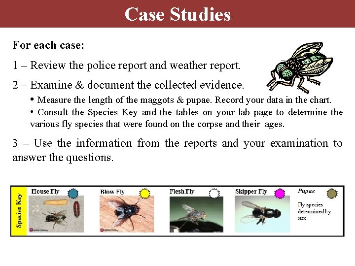 Case Studies For each case: 1 – Review the police report and weather report.
