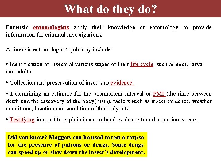 What do they do? Forensic entomologists apply their knowledge of entomology to provide information