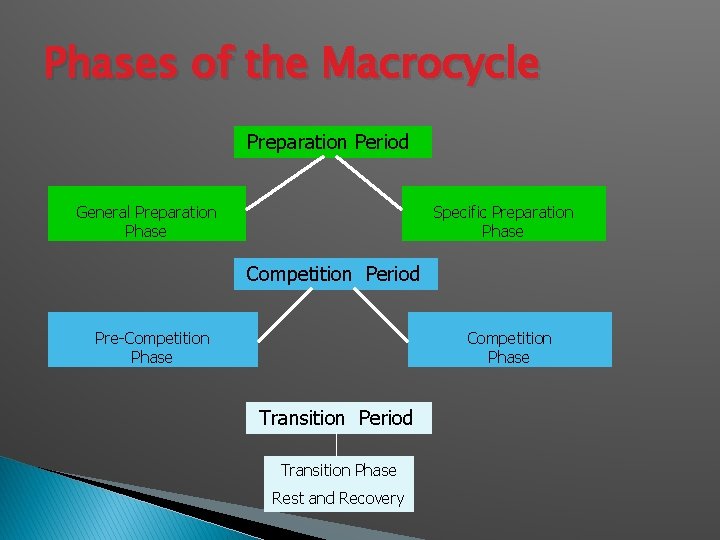 Phases of the Macrocycle Preparation Period General Preparation Phase Specific Preparation Phase Competition Period Phases of the Macrocycle Preparation Period General Preparation Phase Specific Preparation Phase Competition Period