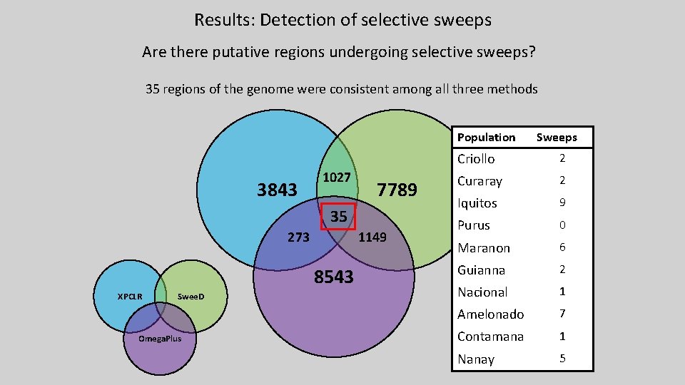 Results: Detection of selective sweeps Are there putative regions undergoing selective sweeps? 35 regions Results: Detection of selective sweeps Are there putative regions undergoing selective sweeps? 35 regions