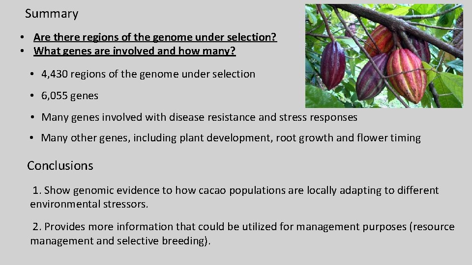 Summary • Are there regions of the genome under selection? • What genes are Summary • Are there regions of the genome under selection? • What genes are