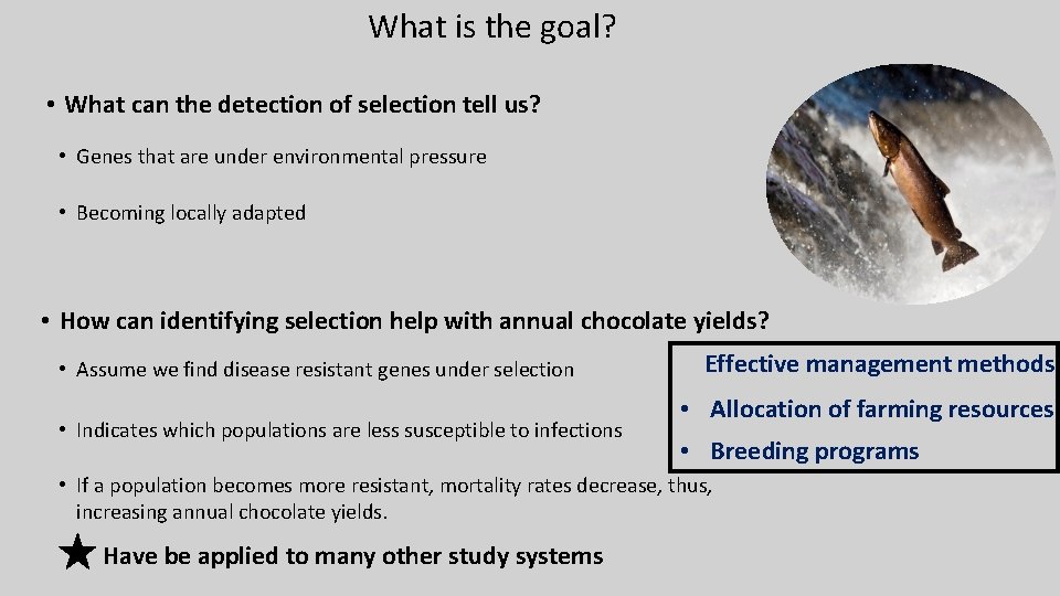 What is the goal? • What can the detection of selection tell us? • What is the goal? • What can the detection of selection tell us? •