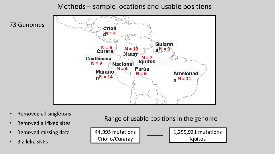 Methods – sample locations and usable positions 73 Genomes Crioll o. N = 4 Methods – sample locations and usable positions 73 Genomes Crioll o. N = 4
