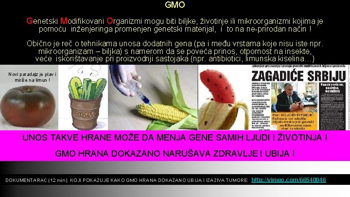 GMO Genetski Modifikovani Organizmi mogu biti biljke, životinje ili mikroorganizmi kojima je pomoću inženjeringa GMO Genetski Modifikovani Organizmi mogu biti biljke, životinje ili mikroorganizmi kojima je pomoću inženjeringa