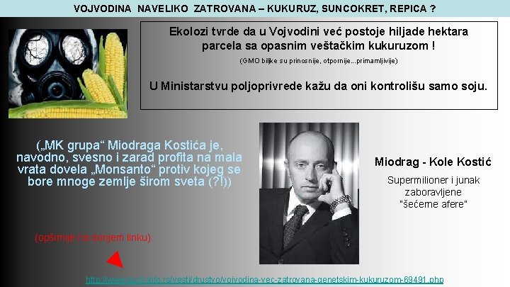 VOJVODINA NAVELIKO ZATROVANA – KUKURUZ, SUNCOKRET, REPICA ? Ekolozi tvrde da u Vojvodini već VOJVODINA NAVELIKO ZATROVANA – KUKURUZ, SUNCOKRET, REPICA ? Ekolozi tvrde da u Vojvodini već