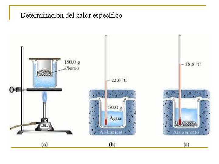 Determinación del calor específico 