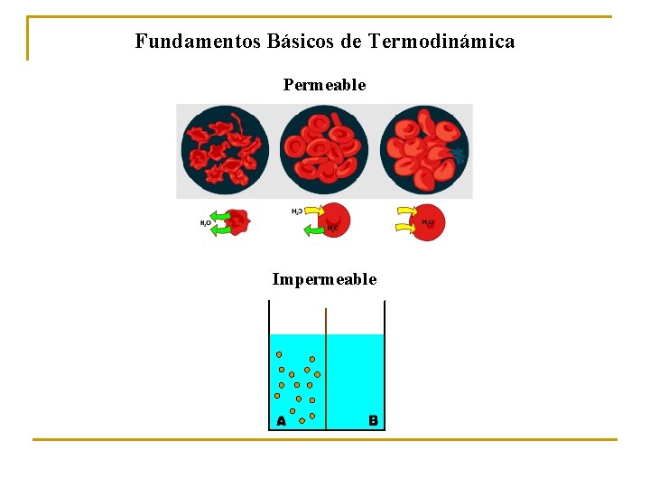 Fundamentos Básicos de Termodinámica Permeable Impermeable 