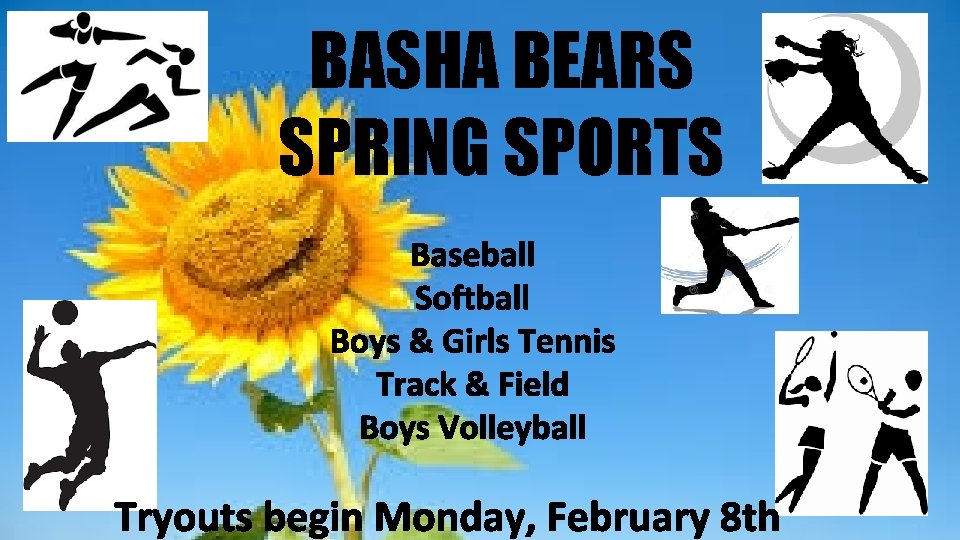 BASHA BEARS SPRING SPORTS Baseball Softball Boys & Girls Tennis Track & Field Boys BASHA BEARS SPRING SPORTS Baseball Softball Boys & Girls Tennis Track & Field Boys