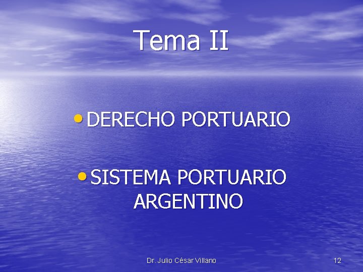 Tema II • DERECHO PORTUARIO • SISTEMA PORTUARIO ARGENTINO Dr. Julio César Villano 12