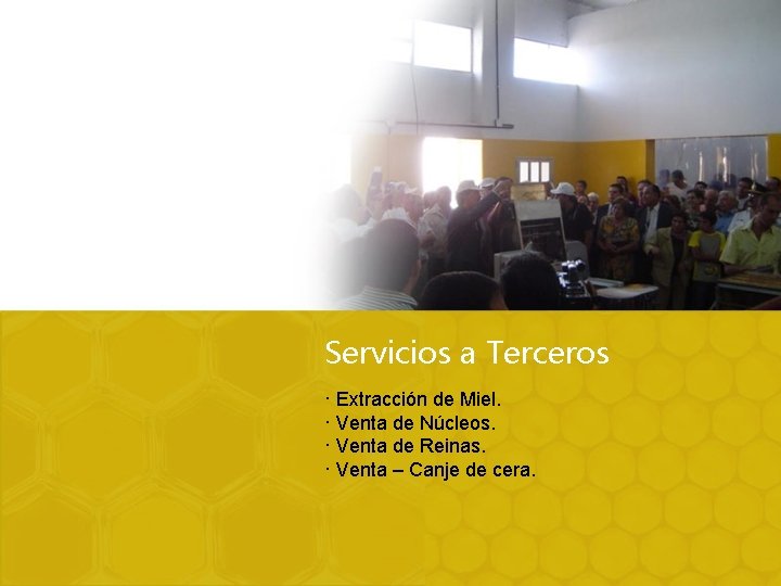 Servicios a Terceros · Extracción de Miel. · Venta de Núcleos. · Venta de