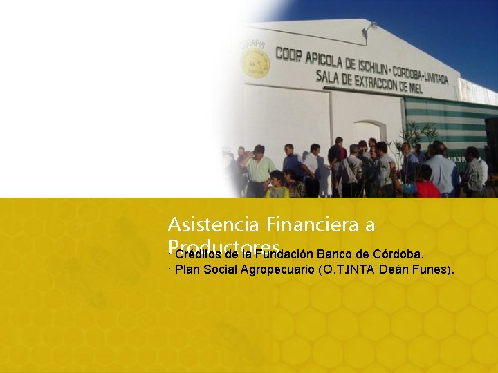 Asistencia Financiera a Productores · Créditos de la Fundación Banco de Córdoba. · Plan
