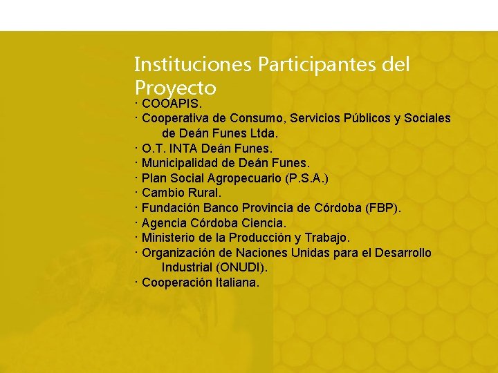 Instituciones Participantes del Proyecto · COOAPIS. · Cooperativa de Consumo, Servicios Públicos y Sociales