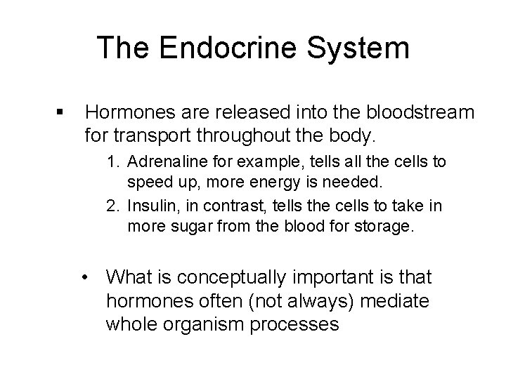 The Endocrine System § Hormones are released into the bloodstream for transport throughout the