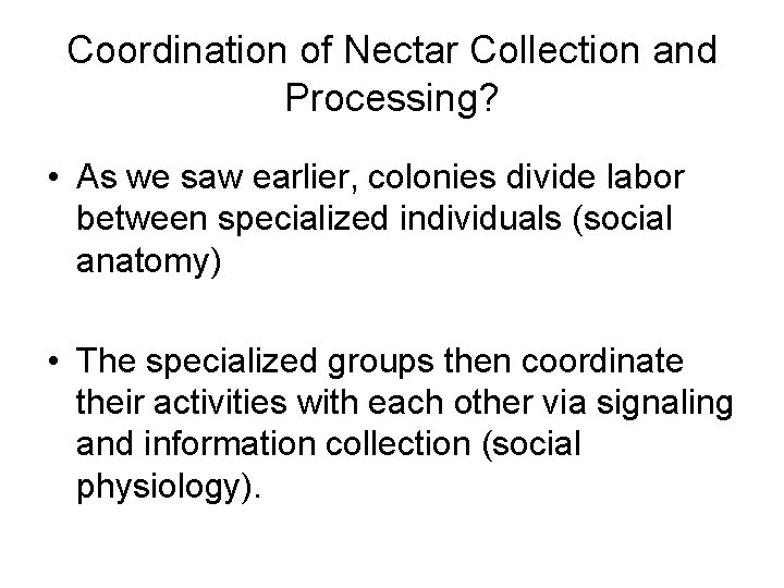 Coordination of Nectar Collection and Processing? • As we saw earlier, colonies divide labor