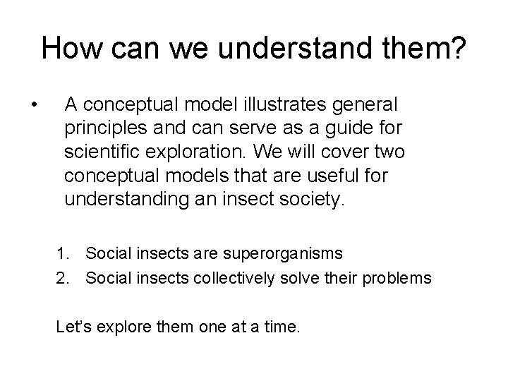 How can we understand them? • A conceptual model illustrates general principles and can