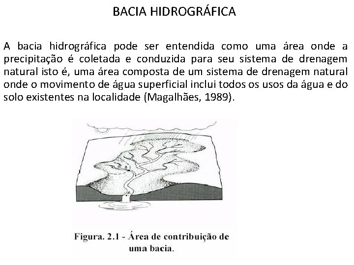 BACIA HIDROGRÁFICA A bacia hidrográfica pode ser entendida como uma área onde a precipitação