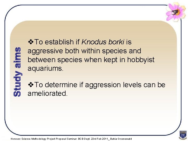 Study aims v. To establish if Knodus borki is aggressive both within species and