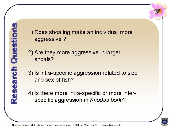 Research Questions 1) Does shoaling make an individual more aggressive ? 2) Are they