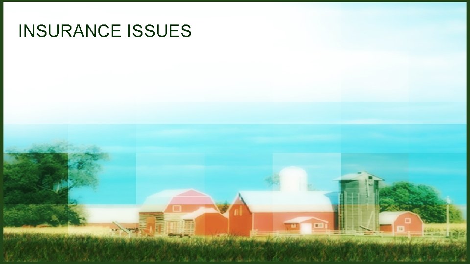 INSURANCE ISSUES INSURANCE ISSUES