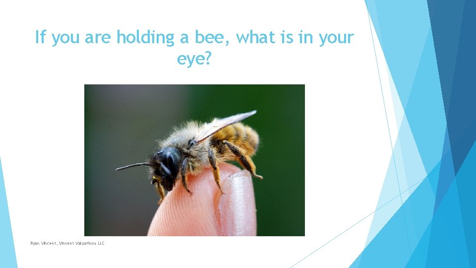 If you are holding a bee, what is in your eye? Ryan Vincent, Vincent If you are holding a bee, what is in your eye? Ryan Vincent, Vincent
