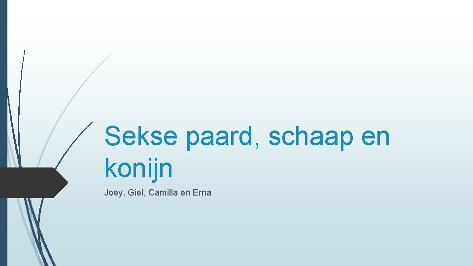Sekse paard, schaap en konijn Joey, Giel, Camilla en Erna 