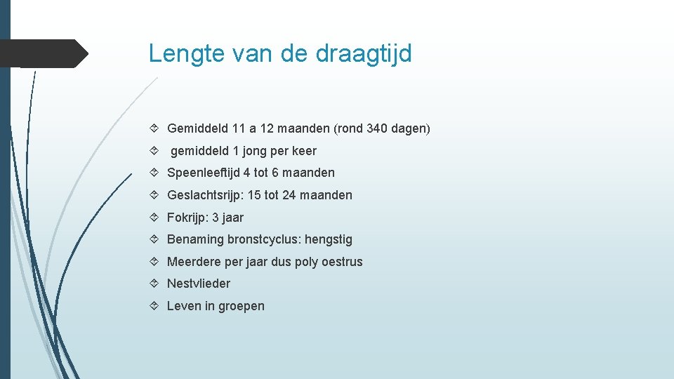 Lengte van de draagtijd Gemiddeld 11 a 12 maanden (rond 340 dagen) gemiddeld 1