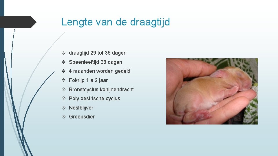 Lengte van de draagtijd 29 tot 35 dagen Speenleeftijd 28 dagen 4 maanden worden