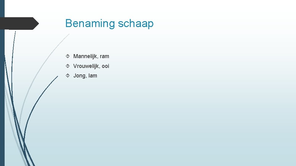 Benaming schaap Mannelijk, ram Vrouwelijk, ooi Jong, lam 