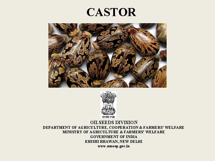 CASTOR OILSEEDS DIVISION DEPARTMENT OF AGRICULTURE, COOPERATION & FARMERS’ WELFARE MINISTRY OF AGRICULTURE &