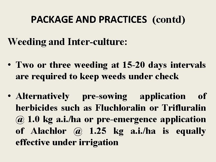 PACKAGE AND PRACTICES (contd) Weeding and Inter-culture: • Two or three weeding at 15