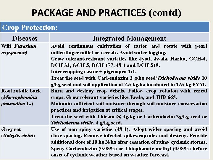 PACKAGE AND PRACTICES (contd) Crop Protection: Diseases Wilt (Fusarium oxysporum) Root rot/die back (Macrophomina