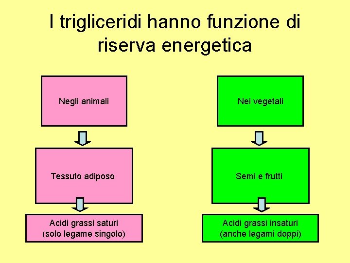 I trigliceridi hanno funzione di riserva energetica Negli animali Nei vegetali Tessuto adiposo Semi