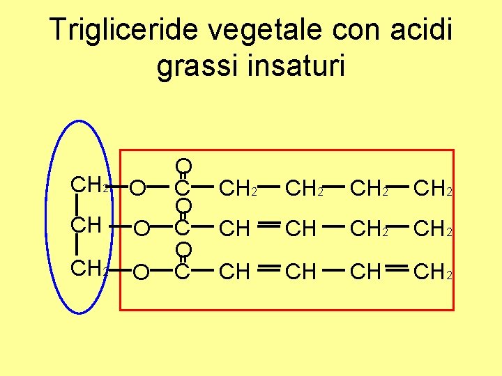 Trigliceride vegetale con acidi grassi insaturi CH 2 O O C O C CH