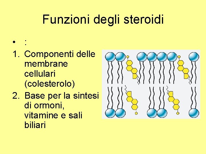 3 racconti che non sapevi sulla my personal trainer ciclo steroidi