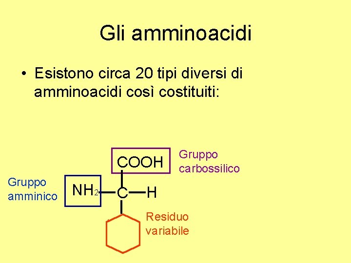 Gli amminoacidi • Esistono circa 20 tipi diversi di amminoacidi così costituiti: COOH Gruppo