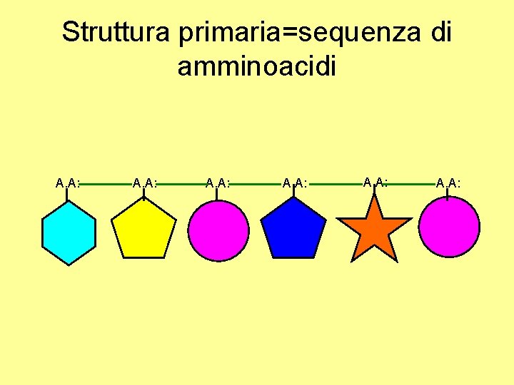 Struttura primaria=sequenza di amminoacidi A. A: 
