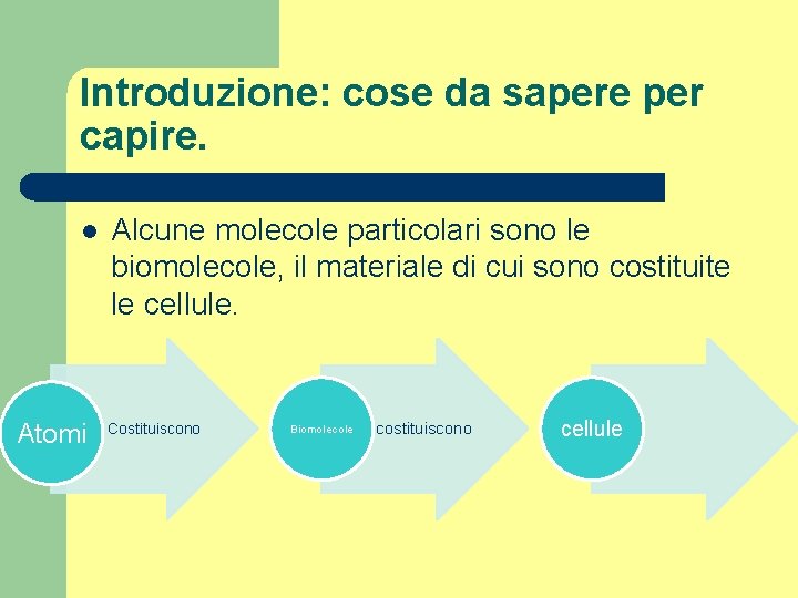 Introduzione: cose da sapere per capire. l Atomi Alcune molecole particolari sono le biomolecole,