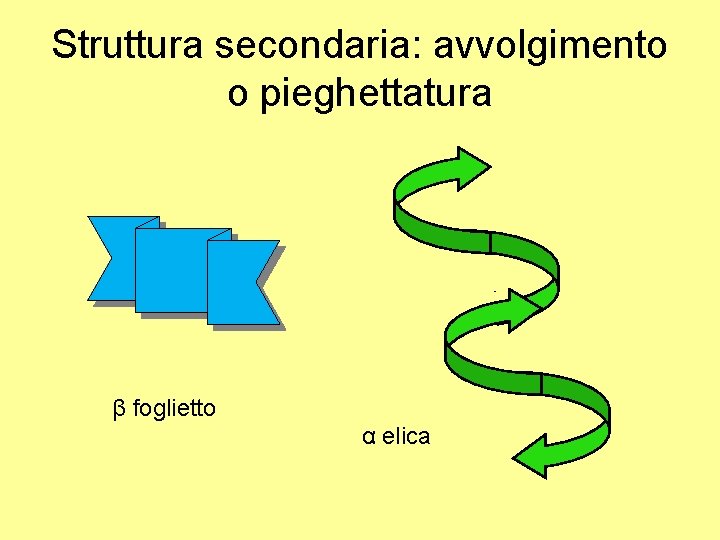 Struttura secondaria: avvolgimento o pieghettatura β foglietto α elica 