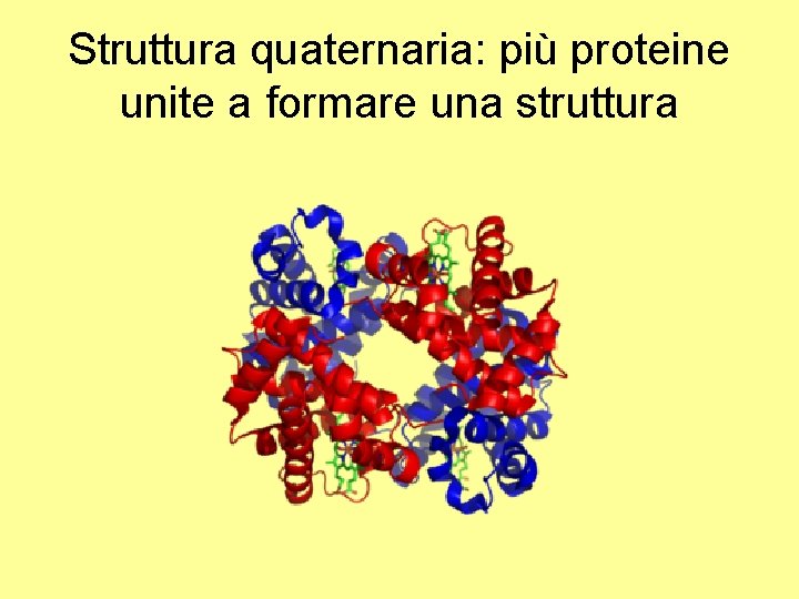 Struttura quaternaria: più proteine unite a formare una struttura 