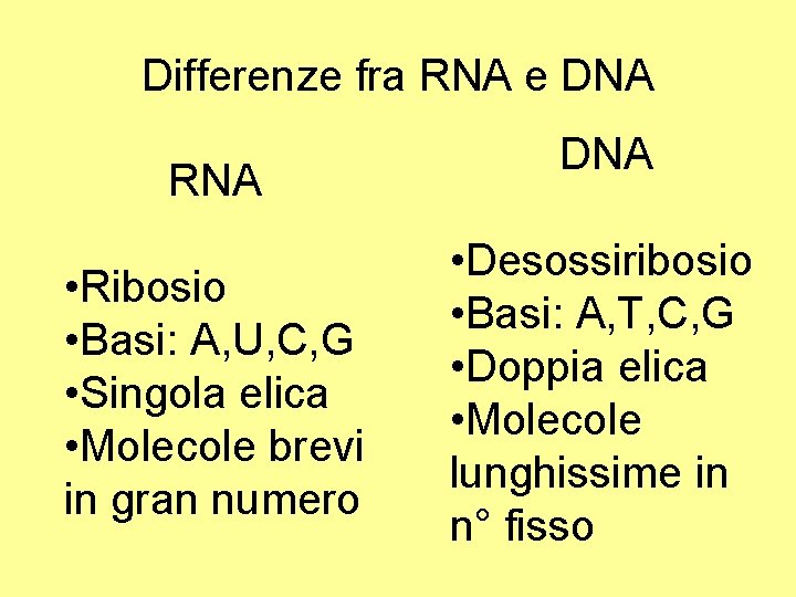Differenze fra RNA e DNA RNA • Ribosio • Basi: A, U, C, G