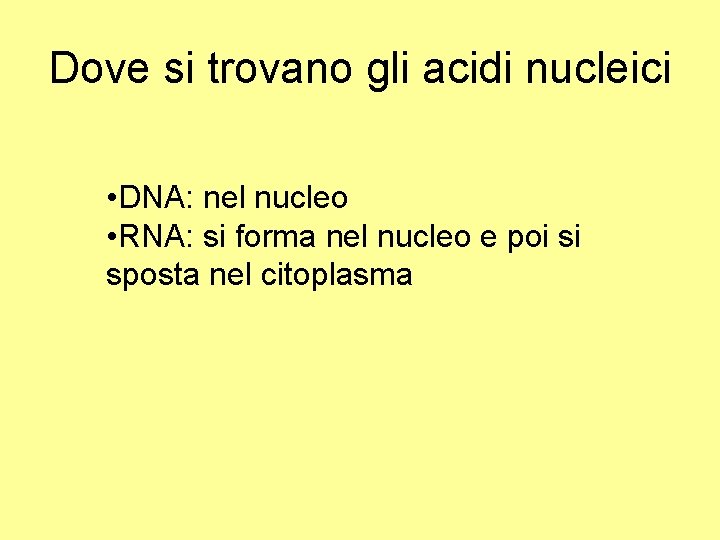 Dove si trovano gli acidi nucleici • DNA: nel nucleo • RNA: si forma