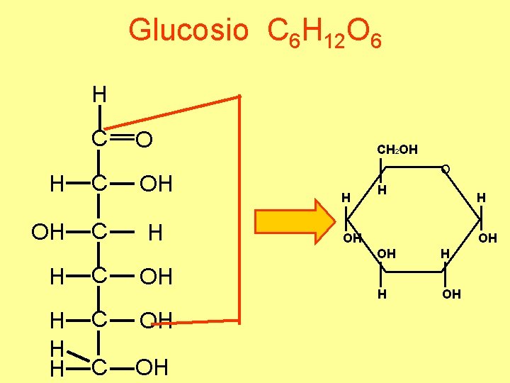 Glucosio C 6 H 12 O 6 H C OH OH C H H